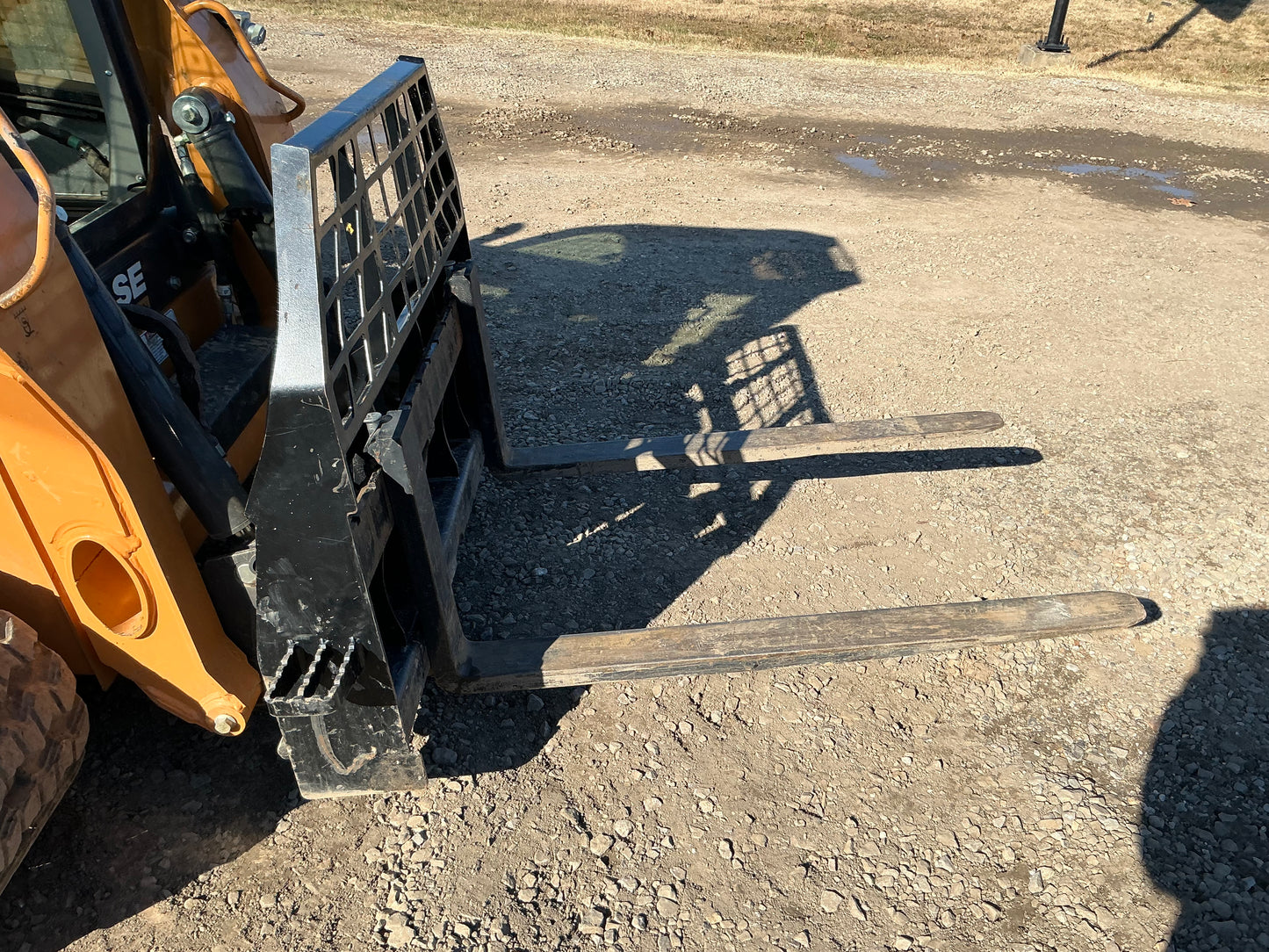 Skid Forks